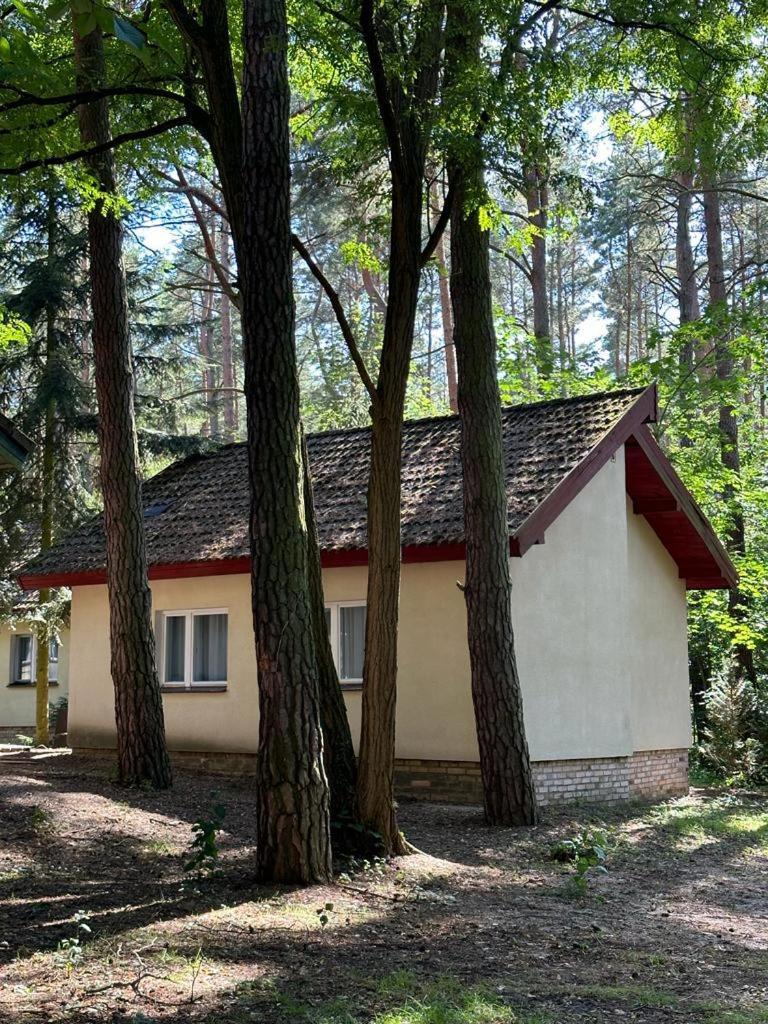 Summer House Lubniewice Exteriör bild